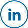 LinkedIn Icon