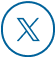 Twitter X Icon